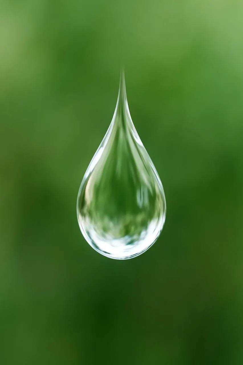 BiolSol Water, acondicionador y corrector de agua de BiolSol Agro, bidón de 5 litros